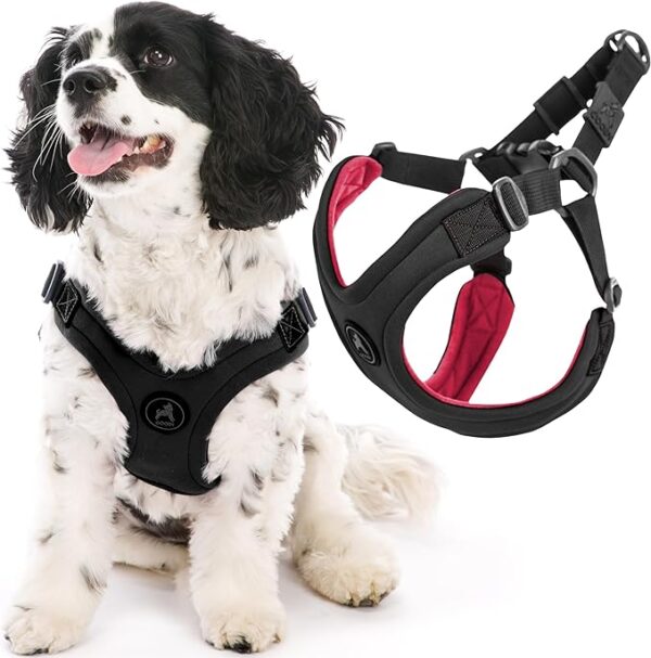 Gooby Escape Free Sport Harness - Black, Medium