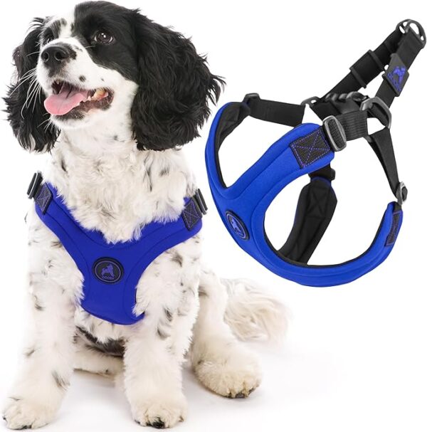 Gooby Escape Free Sport Harness - Blue, Medium