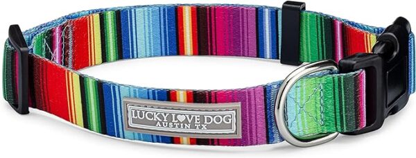 Lucky Love Dog Collars, Nacho, Large