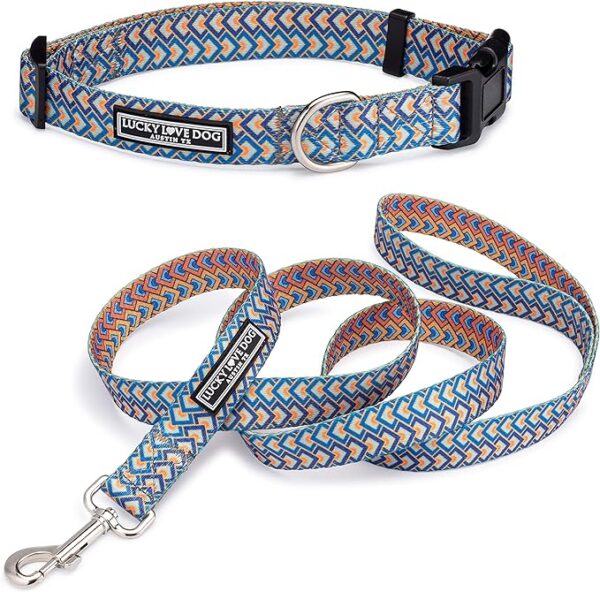 Pattern Collar and Leash for Male Female Dogs - (Medium, Murphy Combo)